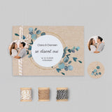 Eucalyptus Kraft