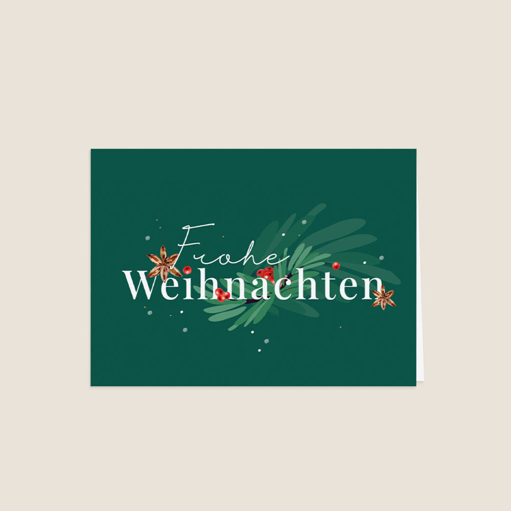 Winterliche Pflanzen