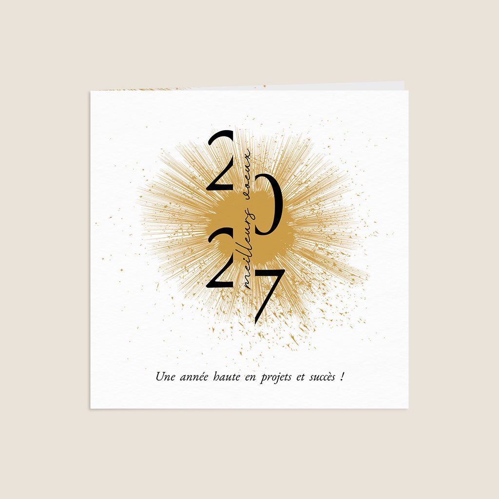 Feu d'artifice illustré #lang=FR,format=CG,Cut=RC0