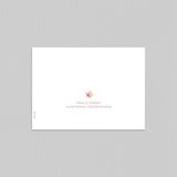 Jolies fleurs des champs