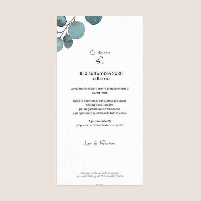  Partecipazioni di matrimonio in stile guinguette Eucalipto vegetale e luci