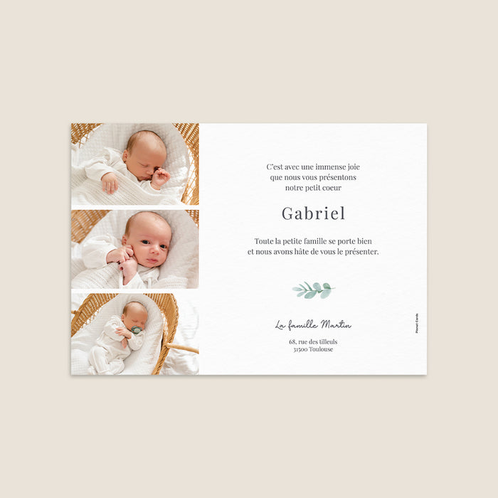 Les iconiques de Planet Cards Eucalyptus