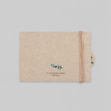 Eucalyptus Kraft
