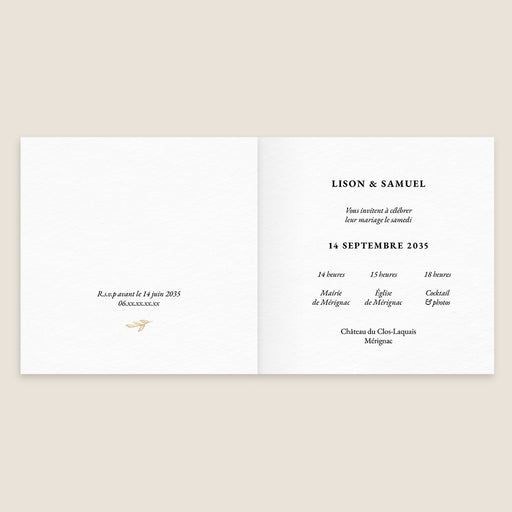 #lang=FR,format=CFG,Accessories=FINA