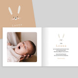 Lapin Minimaliste
