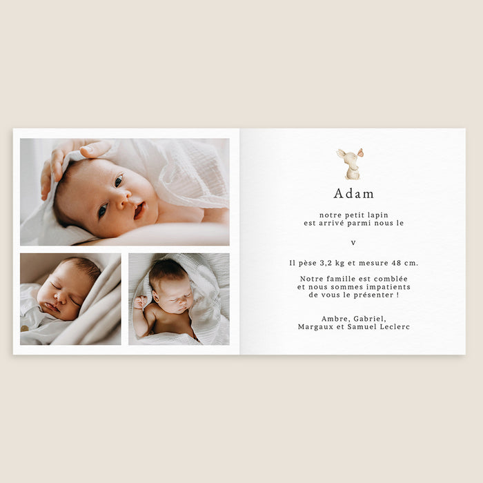 Faire-part naissance printemps-été Petit Lapin
