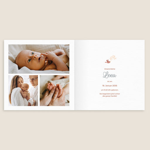 #lang=DE,format=CG,Cut=RC0