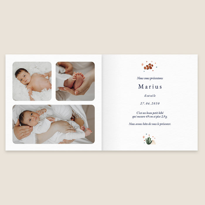 Les iconiques de Planet Cards Farandole de l'Océan