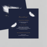 Plume Romantique