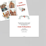 Weihnachtspflanze