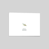 Cadre, branches et houx