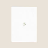 Croix et Eucalyptus