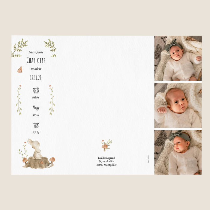 #lang=FR,format=G3GD,Cut=RC0