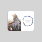 Jolis Delphiniums