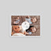 #lang=DE,format=G2RV,Cut=RC1