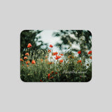 Champs de coquelicots