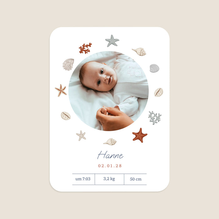 Les iconiques de Planet Cards Kleine Muschel