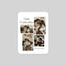#lang=DE,format=G1RV,Cut=RC1