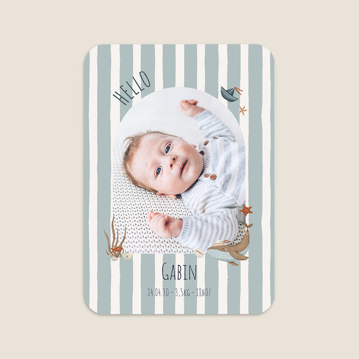 #lang=FR,format=G3RV,Cut=RC1