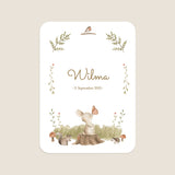 Kleiner Hase im Wald