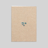 Eucalyptus Kraft