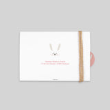 Lapin Minimaliste
