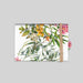 #lang=DE,format=PF2HB,Cut=RC0,Accessories=FINA