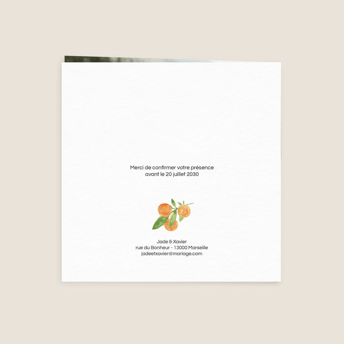 Les iconiques de Planet Cards Aquarelle et Agrumes
