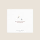 Doux Papillon