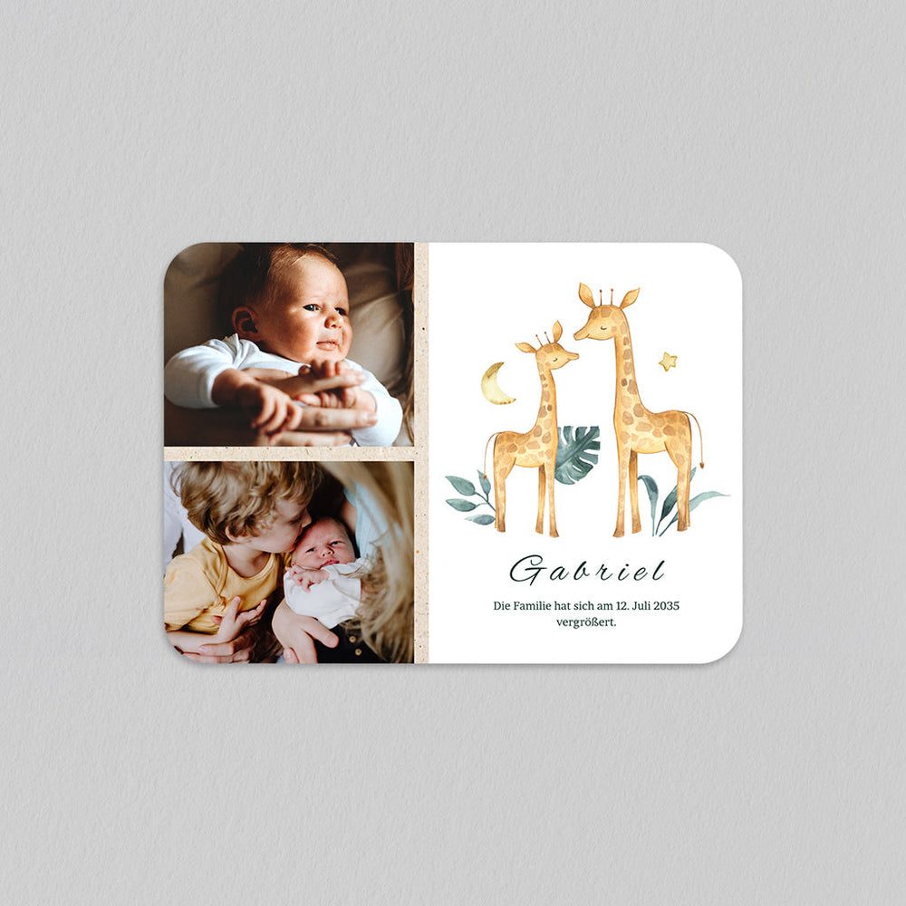 Familie Giraffe