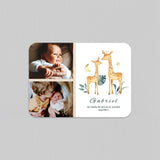 Familie Giraffe