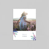 Jolis Delphiniums