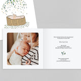 Couffin et Petites Feuilles