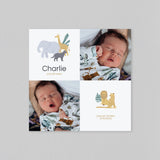 Savane et Informations