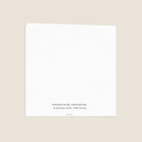 Voeux Immobilier