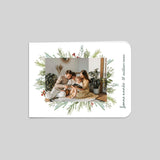 Cadre, branches et houx