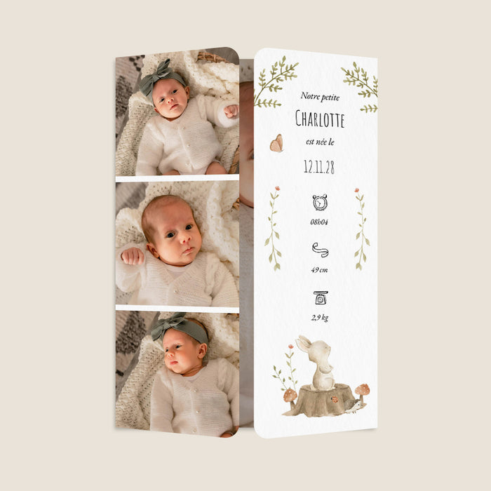 #lang=FR,format=G3GD,Cut=RC0