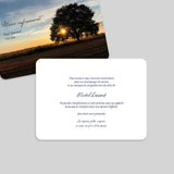 Arbre et couché de soleil