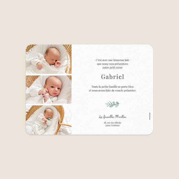 Les iconiques de Planet Cards Eucalyptus