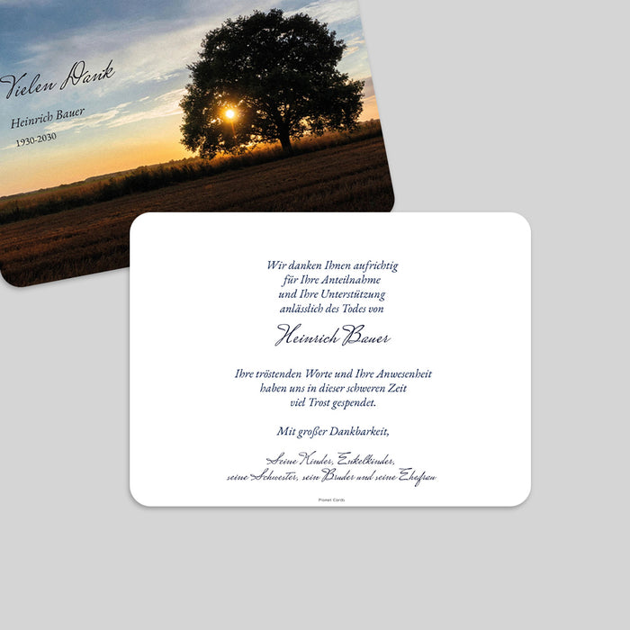 Weitere Anlässe Baum im Abendrot