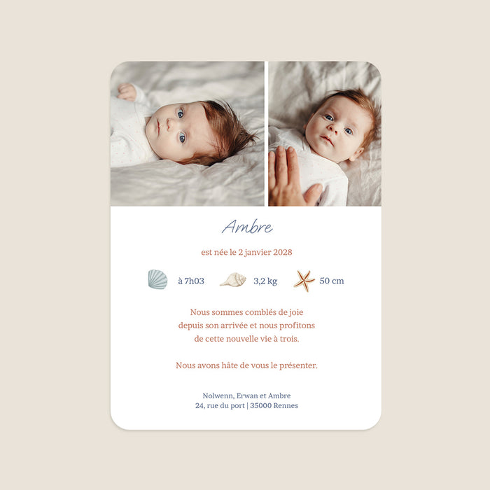 Les iconiques de Planet Cards Petit Coquillage