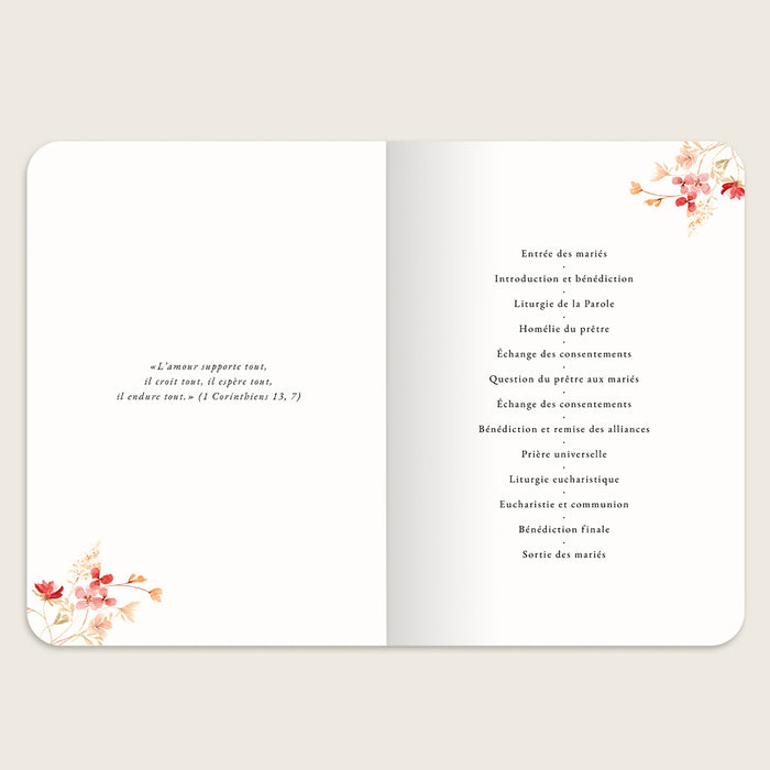 #lang=FR,format=P1G,Cut=RC1