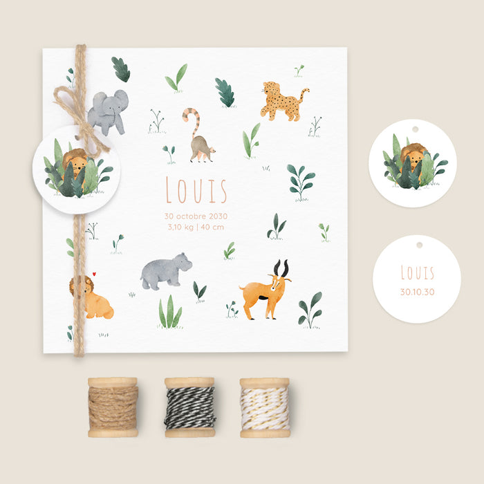 Les iconiques de Planet Cards Savane et Motifs