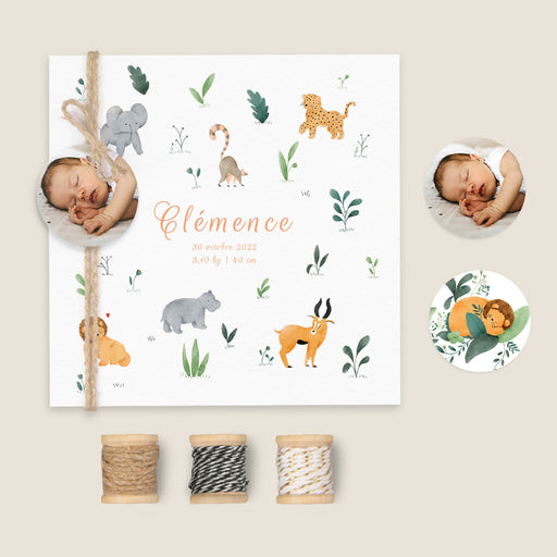 #lang=FR,format=CFG,Accessories=FINA