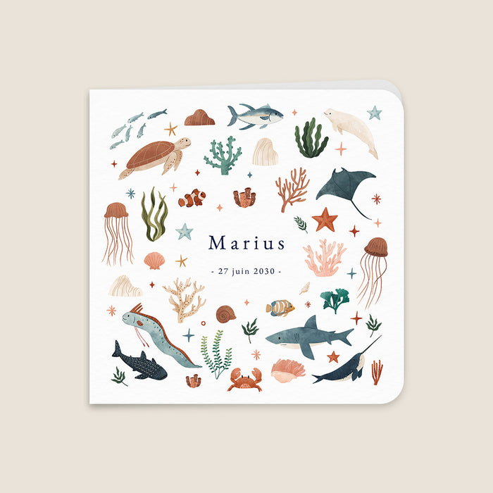 Les iconiques de Planet Cards Farandole de l'Océan