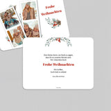 Weihnachtspflanze