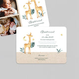 Familie Giraffe