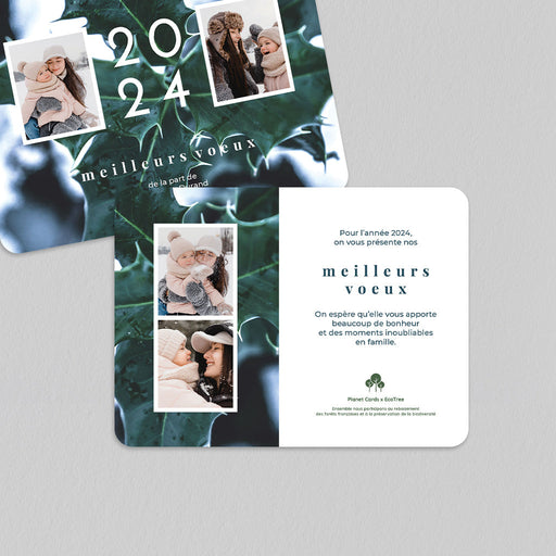 #lang=FR,format=G2RV,Cut=RC1