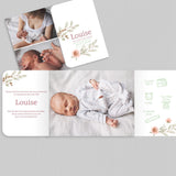 Jolies fleurs des champs
