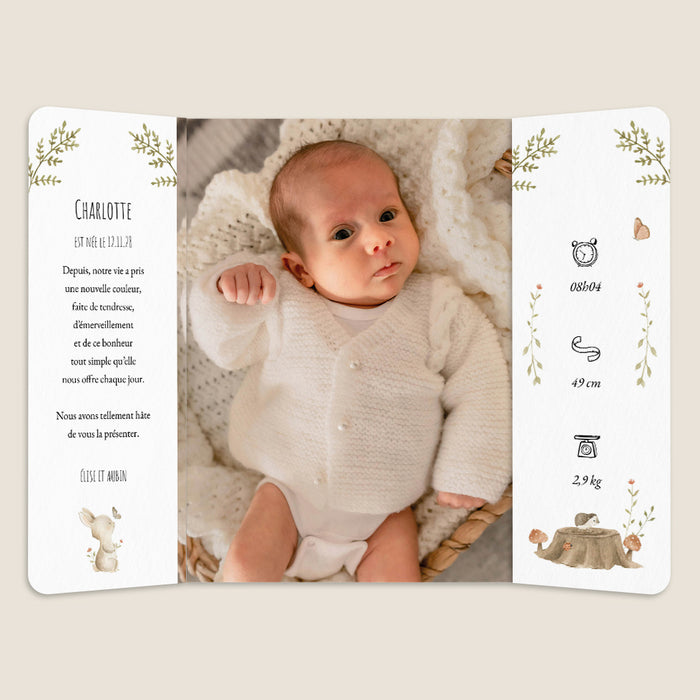 #lang=FR,format=G3GD,Cut=RC0